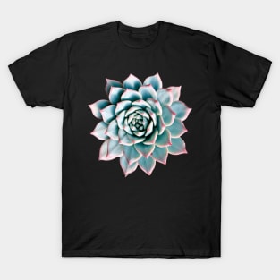 Suculenta Echeveria Blue T-Shirt